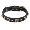 Brown leather dog collar with brass studs and pyramid Tiger Eye cabochons