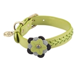 Green leather dog collar accented with a Green Orchid and Hematite gemstones