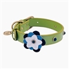 Green leather dog collar with flower and Sodalite gem stone