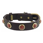 Brown leather dog collar with faceted Gold Sand Stone
