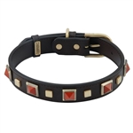 Brown leather dog collar with brass studs and pyramid Red Jasper cabochons