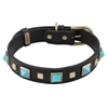 Brown leather dog collar with brass studs and pyramid Turquoise cabochons