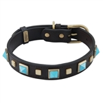 Brown leather dog collar with brass studs and pyramid Turquoise cabochons