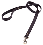 Brown leather dog leash