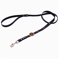 Brown leather dog leashes with circle and Gold Sand Stone