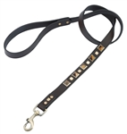 Brown leather dog leash with brass studs and pyramid Tiger Eye cabochons